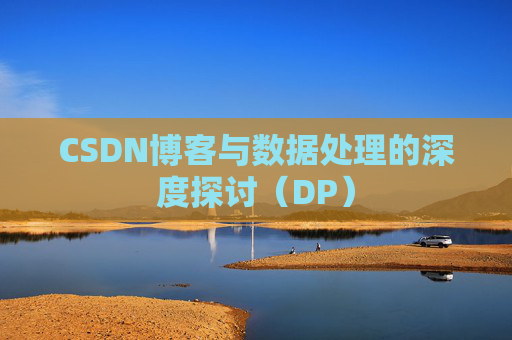 CSDN博客与数据处理的深度探讨（DP）